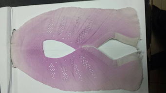 進口變色粉與金宏圖新材料 優質供應商解析